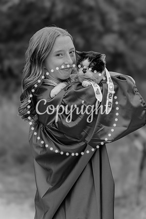 DSC_6953